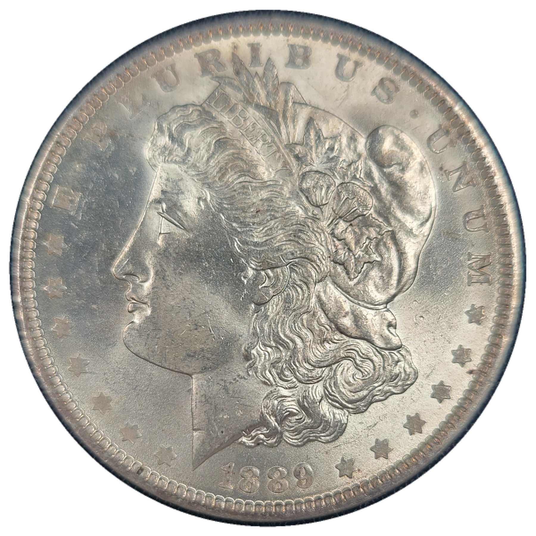 1889-$1-Morgan-Dollar-#8